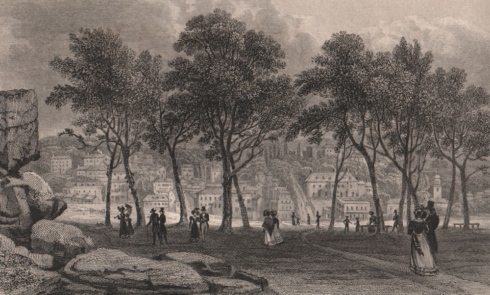 Tunbridge Wells. Kent. SHEPHERD 1829 old antique vintage print picture